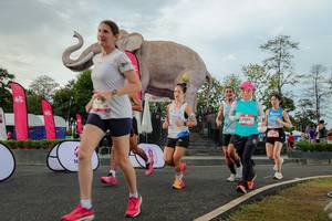 BIB: 
                            <button type="button" onclick="openModal(26528550)" class="btn btn-primary btn-sm float-right btn-popup" data-toggle="modal" data-target=".modal-high-quality">
                        <i class="fas fa-shopping-cart"></i> Add to Cart
                    </button>
                                            <button type="button" onclick="isThisMe(26528550, true)" class="btn btn-success btn-sm float-right btn-popup btn-isme hidden" data-toggle="tooltip" data-placement="bottom" title="นี่คือรูปของคุณใช่ไหม คลิกที่นี่เพื่อเอาเข้าอัลบั้ม">
                        <i class="fas fa-plus"></i> Add to album
                    </button>
                    <button type="button" onclick="isThisMe(26528550, false)" class="btn btn-warning btn-sm float-right btn-popup btn-isnotme hidden">
                        <i class="fas fa-ban"></i> Remove from album
                    </button>